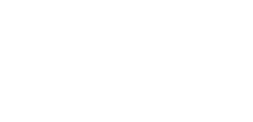 bricks